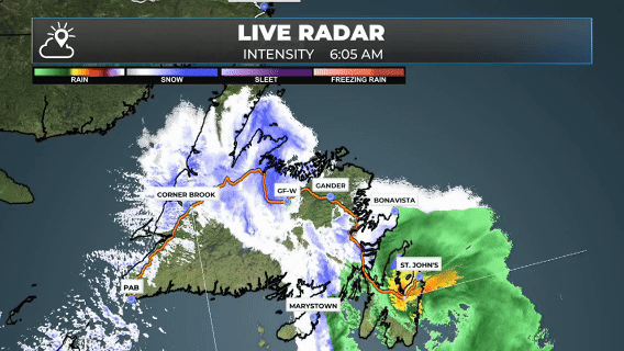 Arctic Front and Developing Low Bring Widespread Winter Storm Conditions to NL today — December 5, 2025: forecast graphic 1