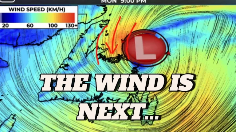 First came the snow and rain, next comes the wind tonight… and more snow!
