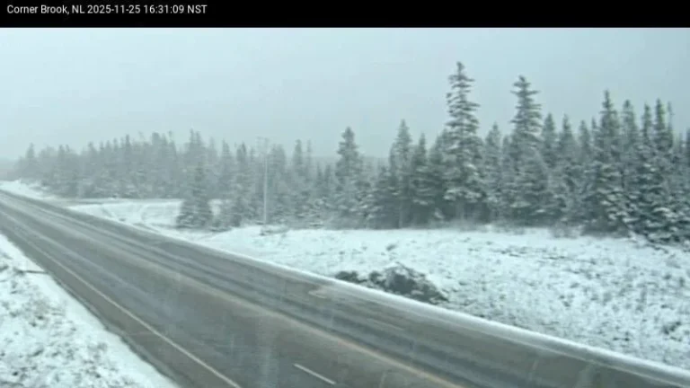 Light Snow And Rain Ends On The Island By Midnight