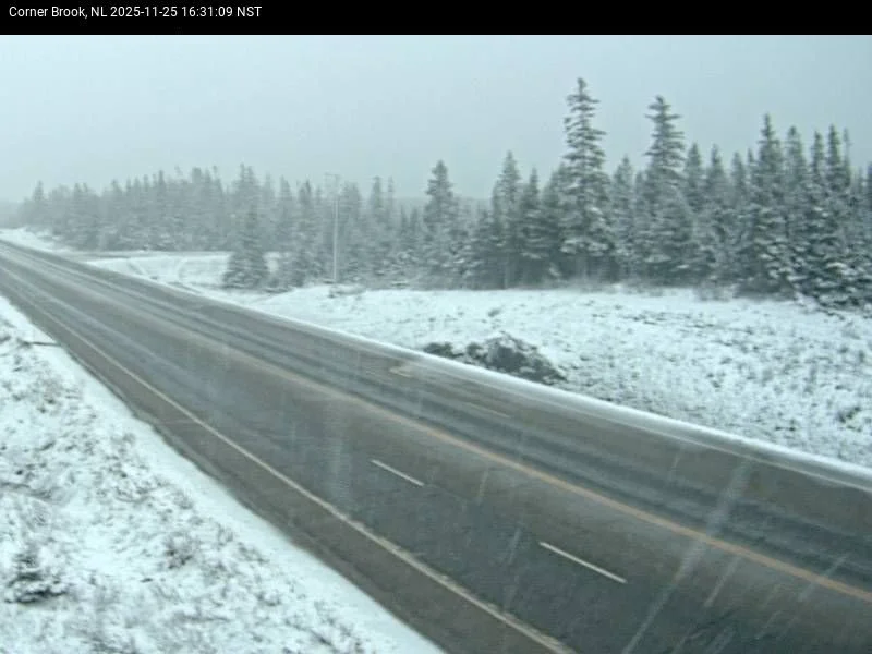 The NL Highway Camera on the TCH in Corner Brook at 4:31 PM NST, on November 25, 2025