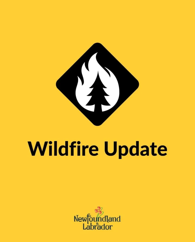 Province Provides Late Day Update on Musgrave Harbour Fire