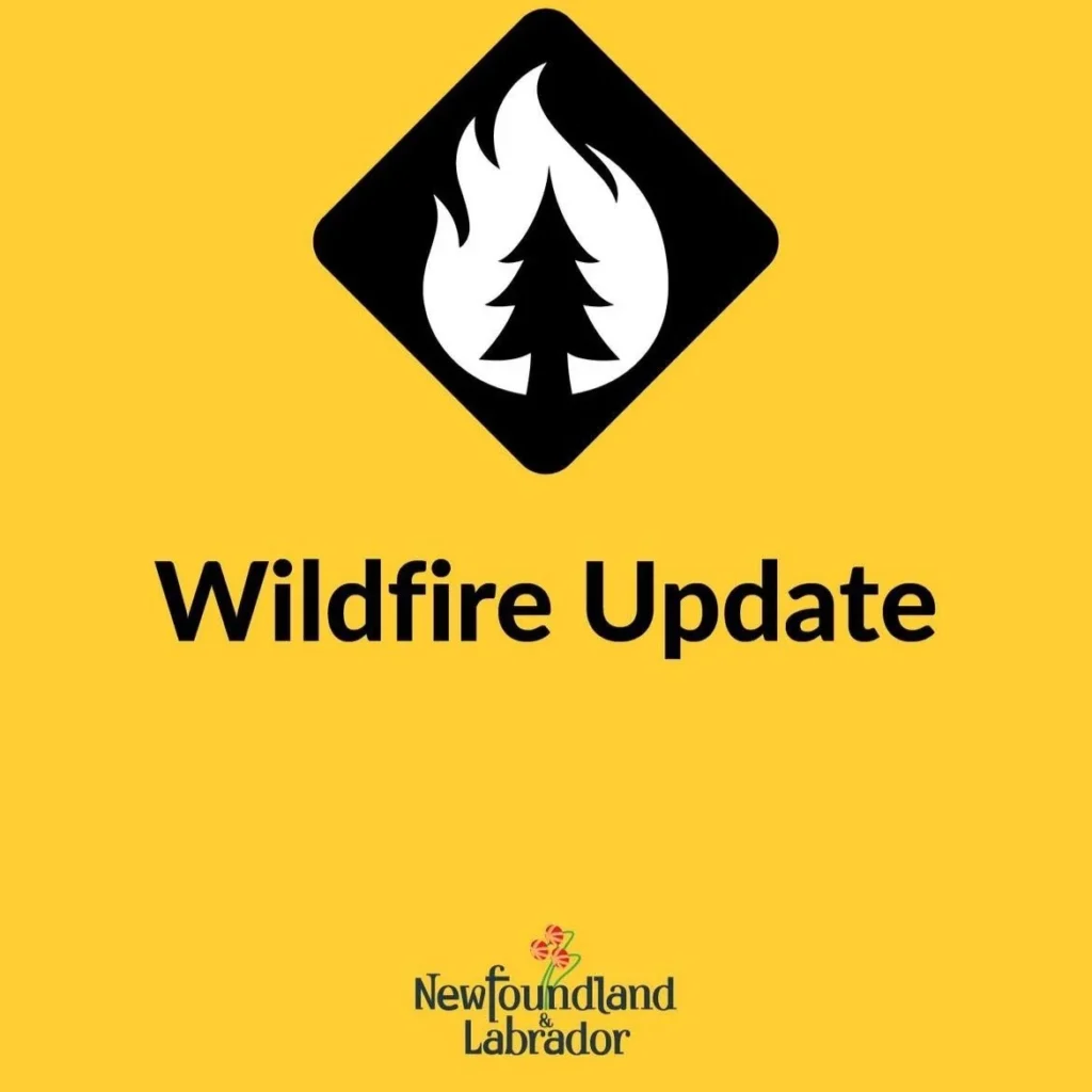 Province Provides Late Day Update on Musgrave Harbour Fire: forecast graphic 1