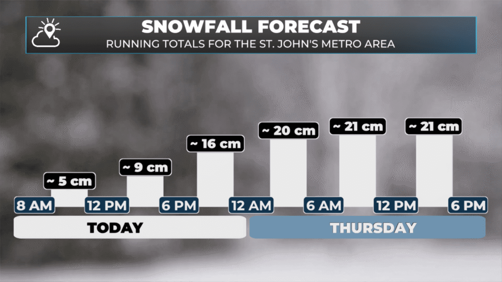 Running totals between this morning and Thursday evening. February 18 and 19, 2026. Location: St. John's.