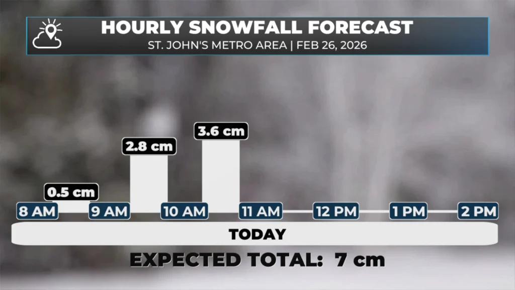 Today’s hourly snowfall amounts and the overall total for the St. John’s Metro area.