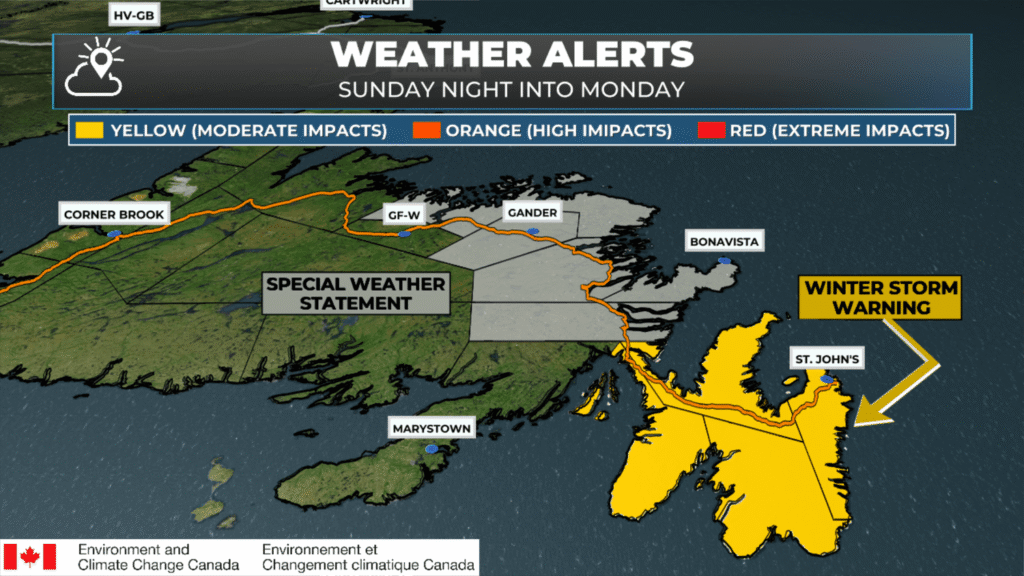 Avalon Peninsula Under Winter Storm Warning from tonight into Monday: forecast graphic 1