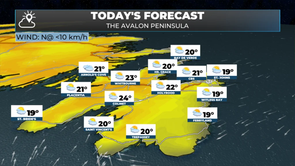The Avalon's forecast for today - August 3, 2026