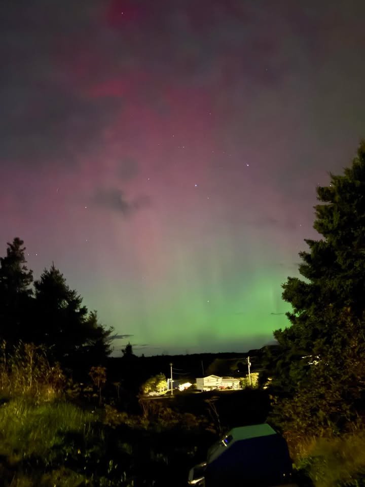 Northern Lights visible across much of NL last night: forecast graphic 4