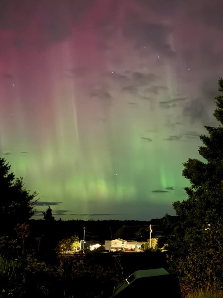 Northern Lights visible across much of NL last night: forecast graphic 2