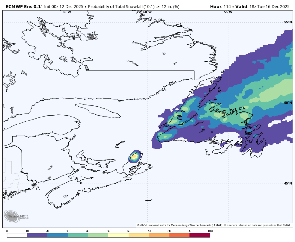 Chances of seeing 30 cm of snow, or more, by Tuesday afternoon (December 16, 2025). Model: ECMWF Ensembles