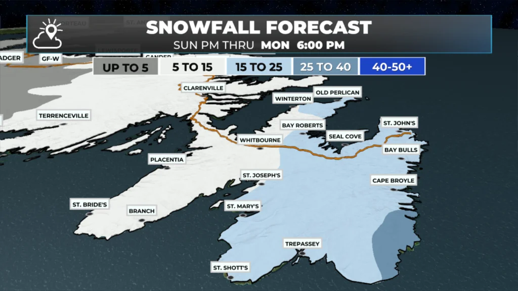 Avalon Peninsula Under Winter Storm Warning from tonight into Monday: forecast graphic 2