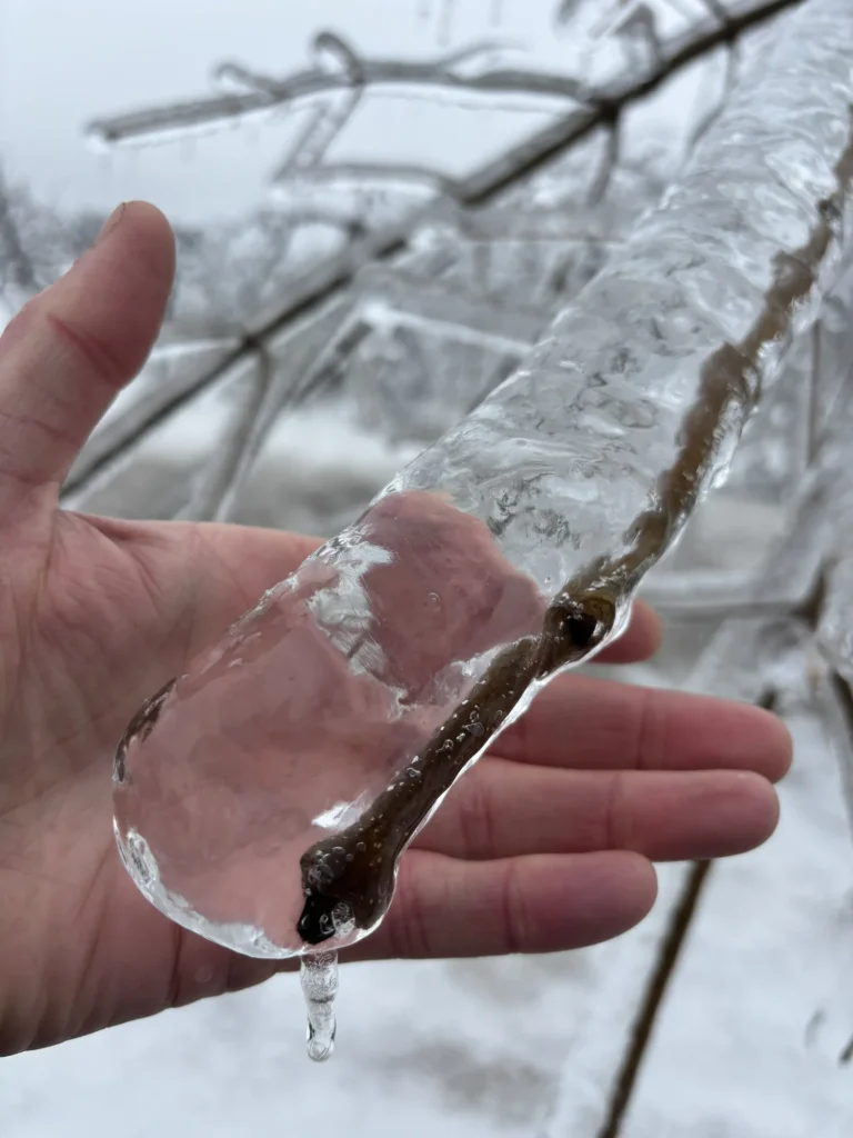 Ice accretion from freezing rain a couple winter ago.