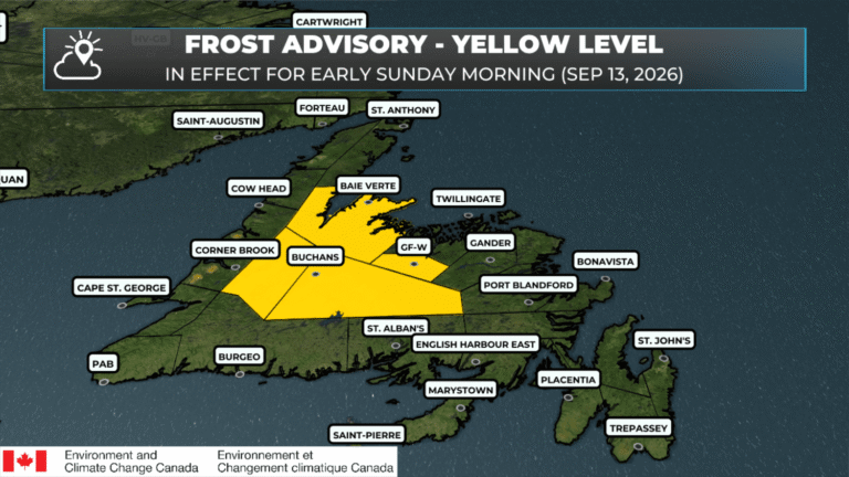 Patchy frost expected across parts of Newfoundland early Sunday