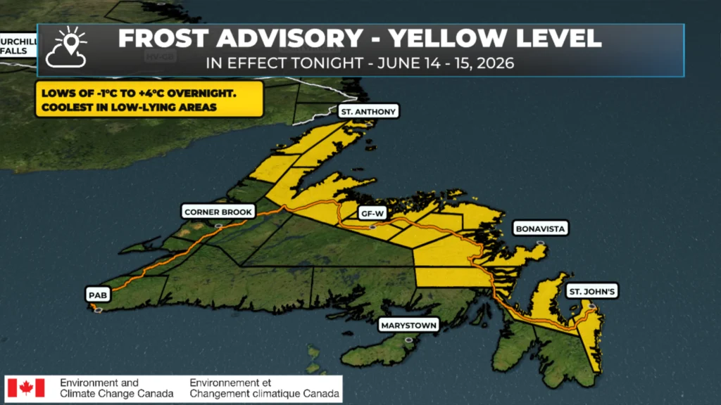 Frost Advisory In Effect Tonight Into Monday Morning (June 15, 2026) For Much Of Newfoundland: forecast graphic 1