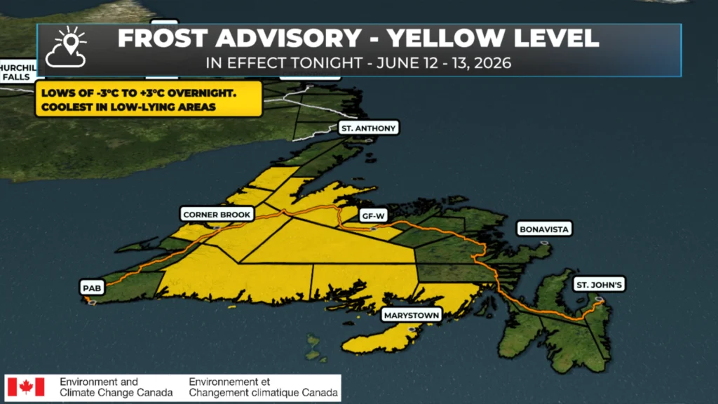 Frost Advisory Tonight for Central, Western, and Southern Newfoundland: forecast graphic 1