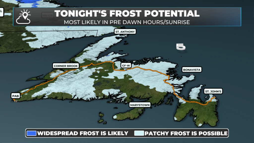 Frost Advisory In Effect Tonight Into Monday Morning (June 15, 2026) For Much Of Newfoundland: forecast graphic 2