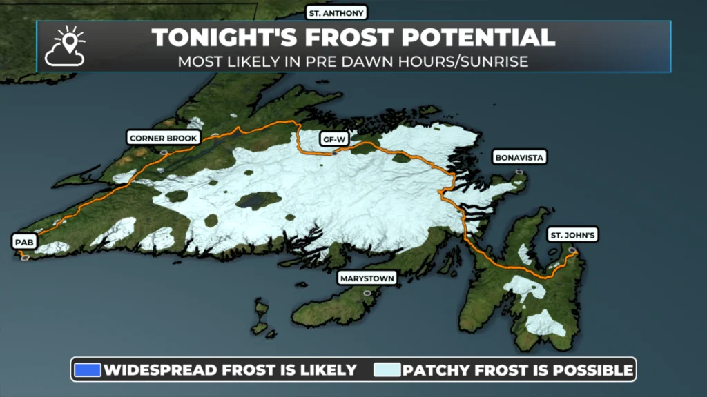 Patchy frost expected across parts of Newfoundland early Sunday: forecast graphic 2