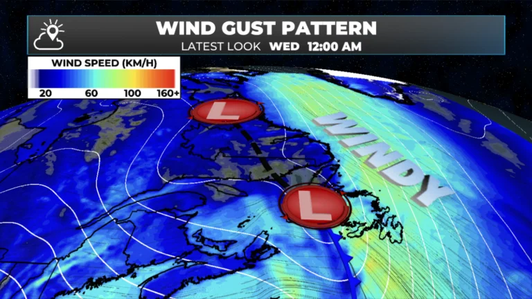 Weather Alerts Issued Across NL Ahead of Potent Rain, Snow, and Wind Maker