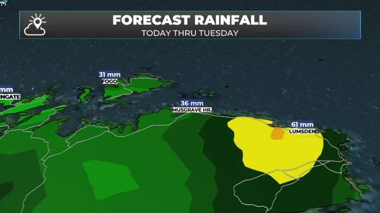 Rain on the way for Newfoundland overnight should help in the fight against the wildfires