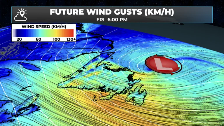 Arctic Front and Developing Low Bring Widespread Winter Storm Conditions to NL today — December 5, 2025