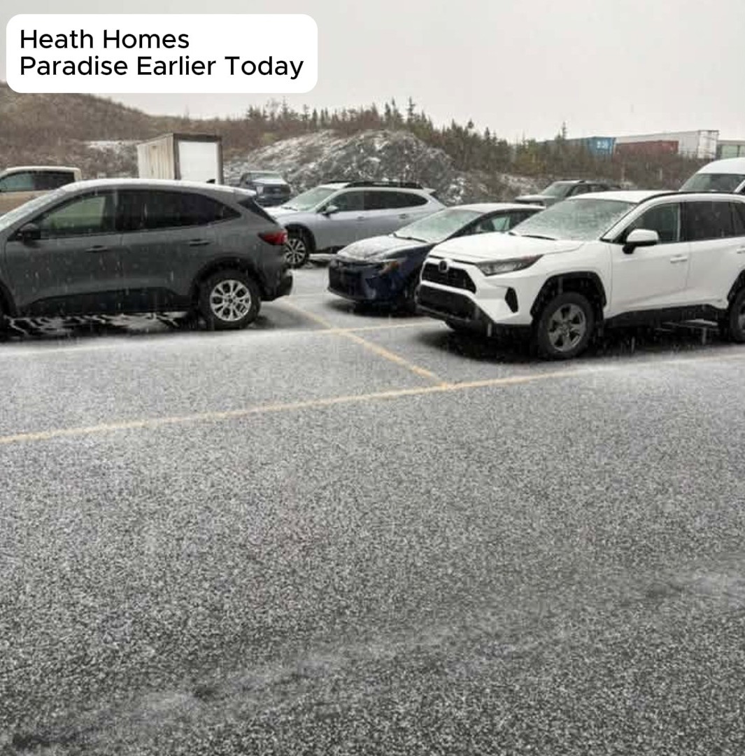 Graupel covering a parking lot and the cars parked in it in Paradise on Tuesday afternoon, photo by Heath Holmes