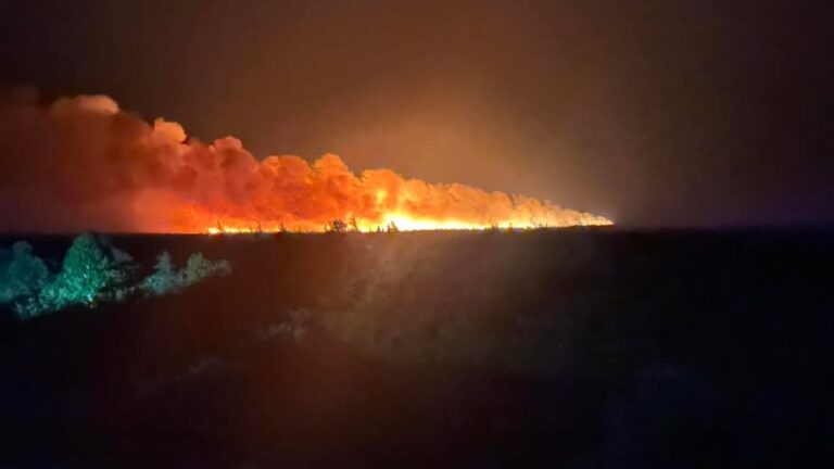 Wildfire Near Musgrave Harbour: Residents Urged to Be Ready | Update: Evacuation Orders Given