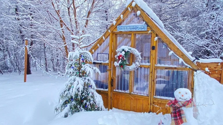 Monday Morning Weather Update — December 29, 2025