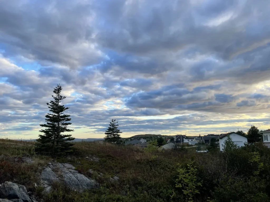 Showers for parts of NL close out the work week — August 22, 2025: forecast graphic 1