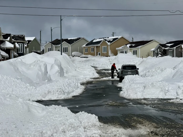 Latest Winter Storm Leaves 50 to 80 cm across the eastern Avalon – EC Weather Summary