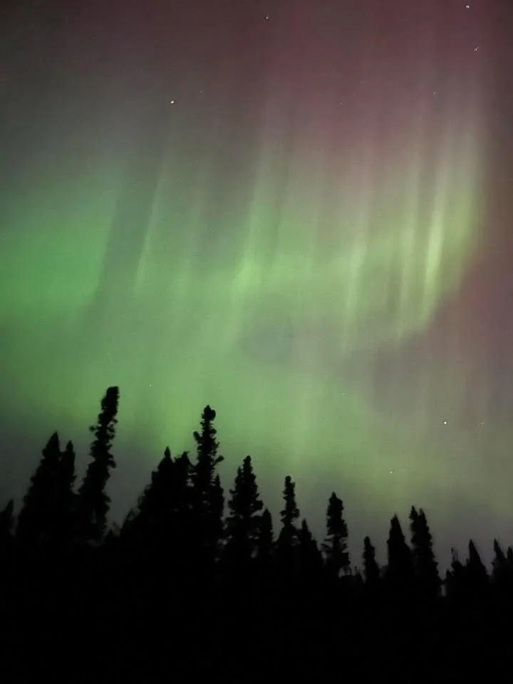 Northern Lights shone bright over parts of NL last night! : forecast graphic 3