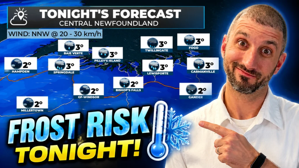 Frost Risk Tonight, Then a Beautiful Tuesday Across Newfoundland & Labrador