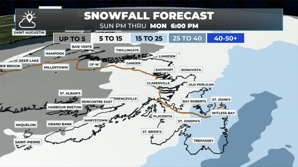 Avalon Peninsula Under Winter Storm Warning from tonight into Monday: forecast graphic 3