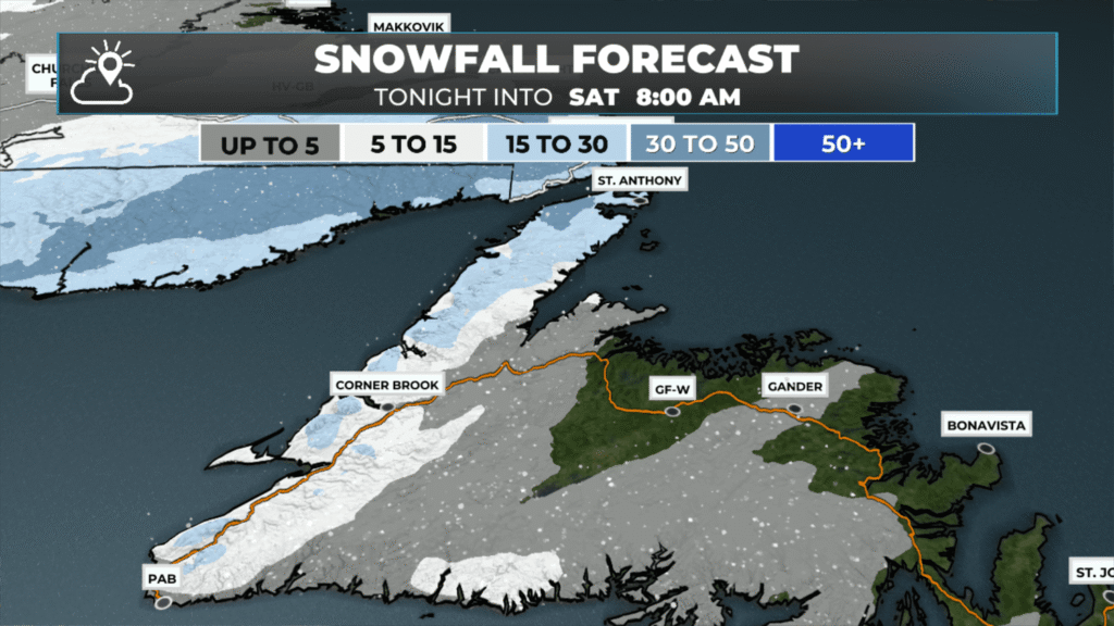 Newfoundland snowfall between Friday afternoon and 8 AM Saturday (January 17, 2026).