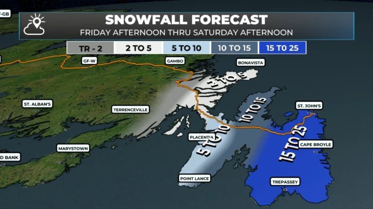 Wet, heavy snow takes hold on the Avalon tonight ahead of raw weekend for NL