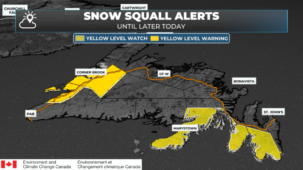 Current Snow Squall Alerts for Newfoundland as of 6:30 AM on March 3, 2026.