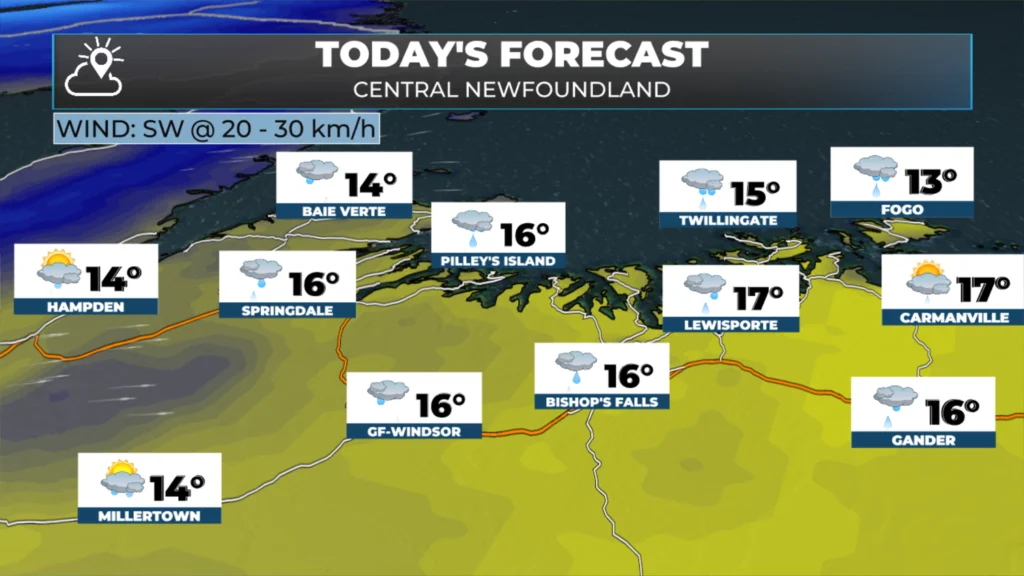 Today's forecast for central Newfoundland