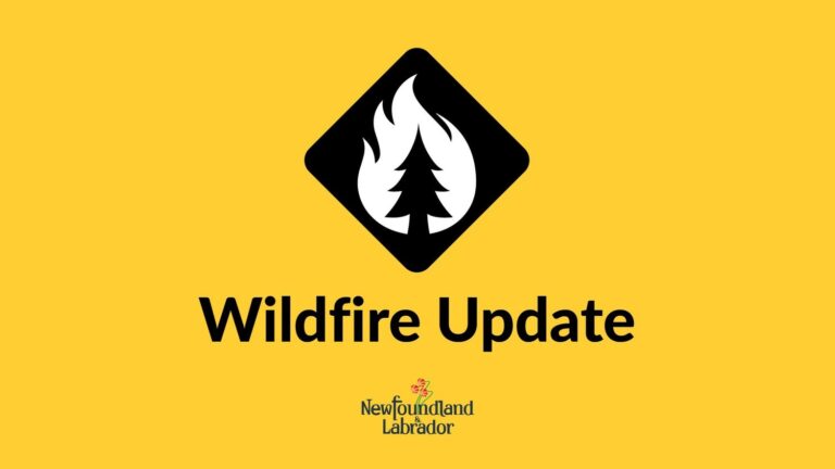 Wildfire Update – August 9, 2025