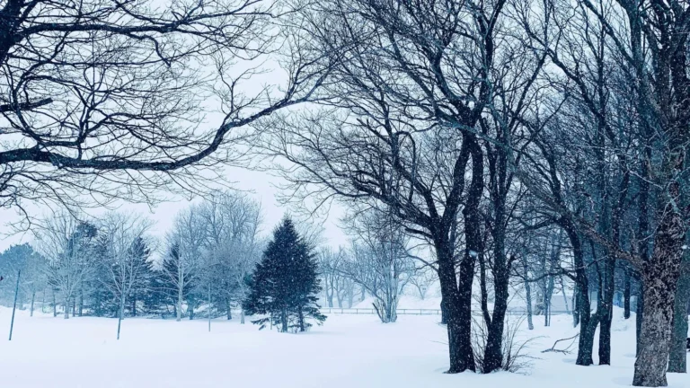 Thursday Morning’s Weather Briefing — February 12, 2026