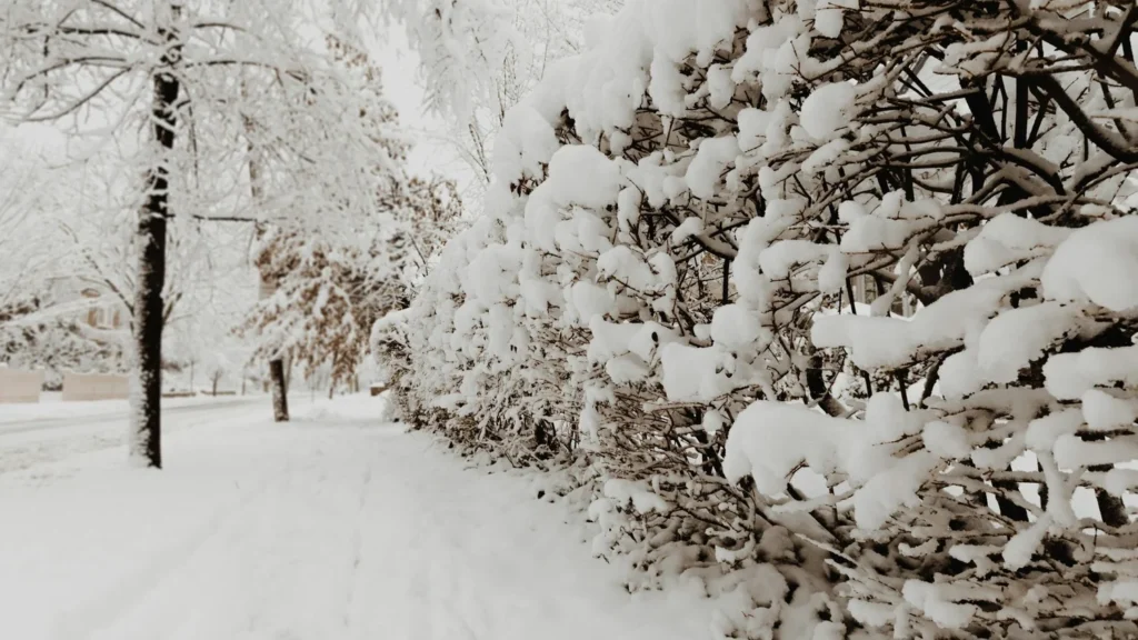 Thursday Morning Weather Update — December 4, 2025