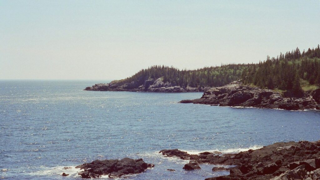 Summer is back… but for how long?