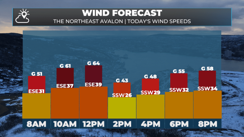Today’s wind gust forecast for the Metro area - February 12, 2026