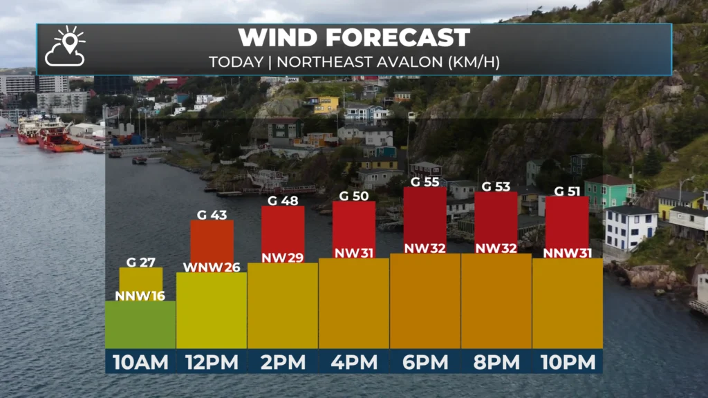 Wind speed forecast for the St. John's area today