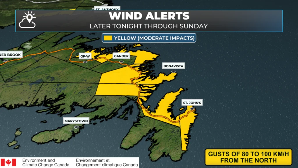 Blowing Snow Advisories, Winter Storm Warning and Wind Warnings Issued for Newfoundland by Environment Canada for Saturday Night and Sunday: forecast graphic 4