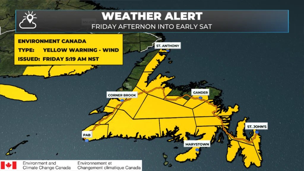 Arctic Front and Developing Low Bring Widespread Winter Storm Conditions to NL today — December 5, 2025: forecast graphic 9