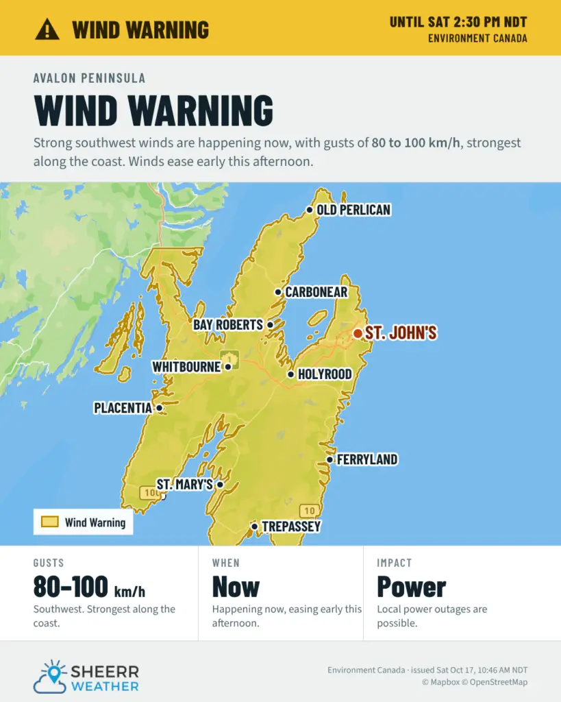 Wind warning for the Avalon Peninsula: southwest gusts of 80 to 100 km/h, strongest along the coast, easing early this afternoon