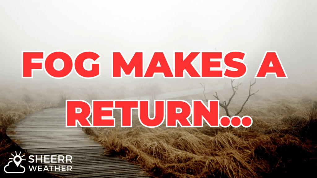 Fog and drizzle make a return to NL as we close out the week